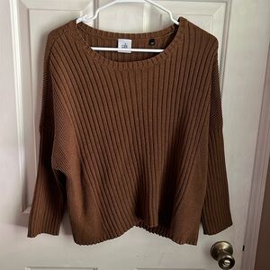 CABI sweater